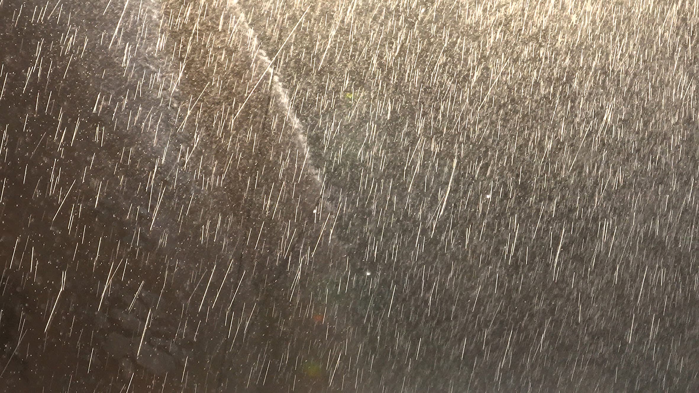 New Words Under the Old