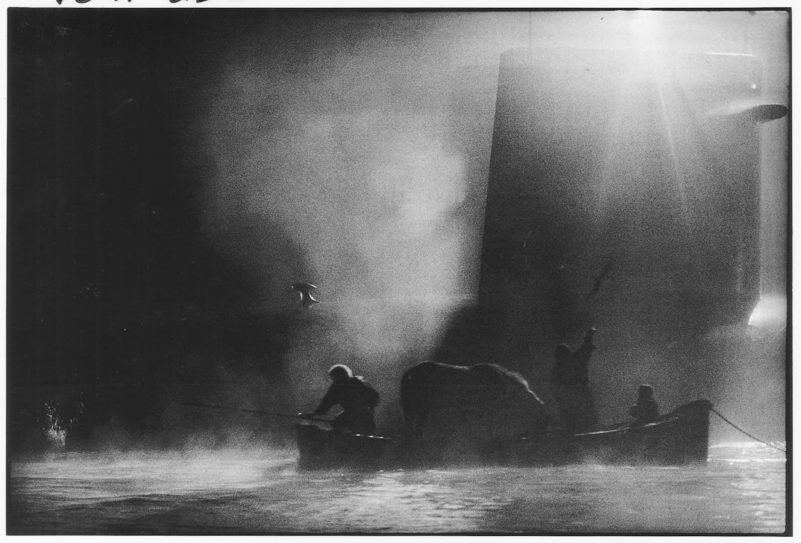 The Navigator: a Medieval Odyssey