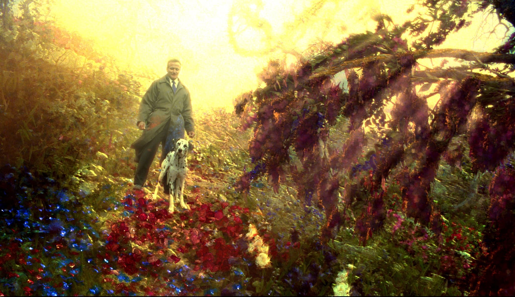 What Dreams May Come